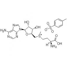 Z917761 S-腺苷甲硫氨酸对甲苯磺酸盐, 80%