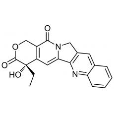 Z922762 喜树碱, ≥99%(HPLC)