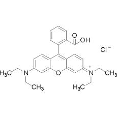 Z917229 罗丹明B, 分析对照品,>99.0%(HPLC)