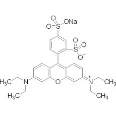 Z912440 磺酰罗丹明B, 85%