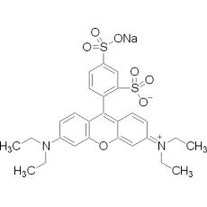 Z912443 磺酰罗丹明B, Biological stain