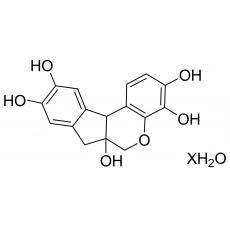 Z910909 苏木精, 高纯级,>99%（HPLC)