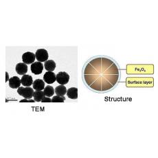 Z922138 四氧化三铁磁性纳米微球, 基质:Fe3O4,表面基团:-NH2,粒径:10-30 nm, 25% in H2O
