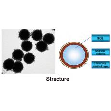 Z914113 SLC 核壳式二氧化硅磁性微球, 基质:SiO2,表面基团:-COOH,粒径:2-3μm,单位:10mg/ml