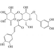 Z920385 毛蕊花糖苷, 分析对照品