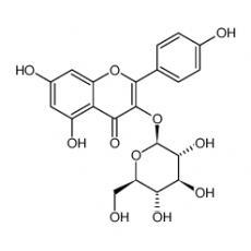 Z922486 紫云英苷, ≥98%(HPLC)