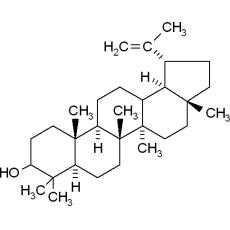 Z912530 羽扇豆醇, 分析标准品,≥98%