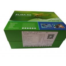 小鼠补体成分5a受体1(C5aR1) ELISA Kit