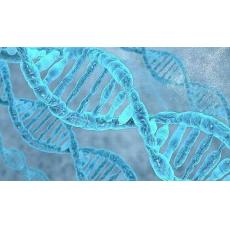 非冻型唾液DNA保存液