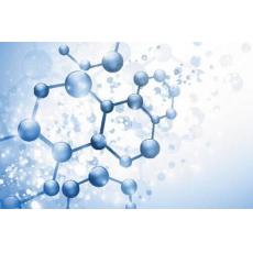 预染蛋白质电泳分子量标准（蛋白Marker范围11-180 kDa）