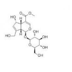 去乙酰车叶草酸甲酯,分析标准品,HPLC≥98%