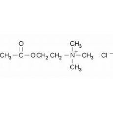 氯化乙酰胆碱,分析标准品,98%（T）