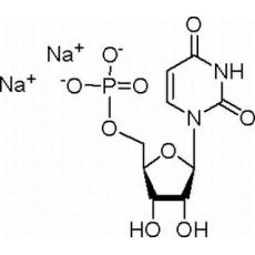 5-尿苷一磷酸二钠盐,分析标准品,HPLC≥98%