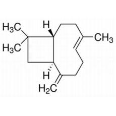 β-丁香烯,分析标准品,GC≥98%