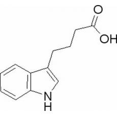 吲哚丁酸,分析标准品,HPLC≥99%