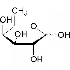 D(+)岩藻糖,分析标准品,HPLC≥98%