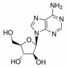 阿糖腺苷,分析标准品,HPLC≥98%