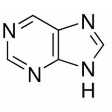 嘌呤,分析标准品,HPLC≥99%