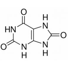 尿酸,分析标准品,HPLC≥98%