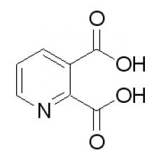 吡啶-2,3-二羧酸,分析标准品,HPLC≥98%