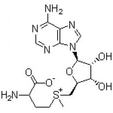 S-腺甘蛋氨酸,分析标准品,HPLC≥90%