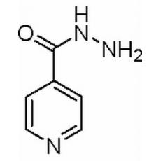 异烟肼,分析标准品,HPLC≥98%