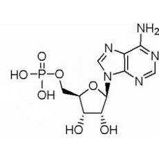 5-腺苷一磷酸,分析标准品,HPLC≥98%