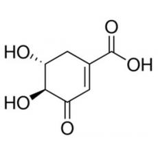 3-脱氢莽草酸,分析标准品,HPLC≥97%