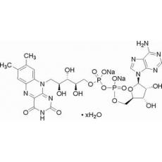 黄素腺嘌呤二核苷酸二钠盐,分析标准品,HPLC≥97%