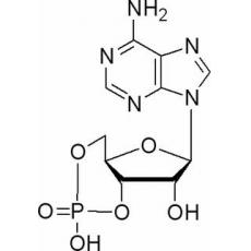 环磷酸腺苷，分析标准品,HPLC≥98%