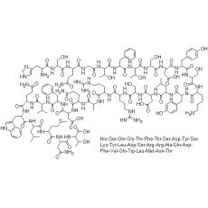 胰高血糖素(Glu),体外诊断试剂标准物质(19μIU/19ng)