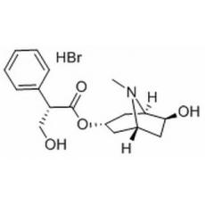 氢溴酸山莨菪碱,化学对照品(1mg)