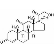 可的松,化学对照品(50mg)