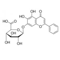 黄芩苷,化学对照品(40mg)