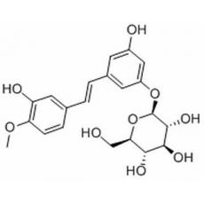 土大黄苷,化学对照品(20mg)