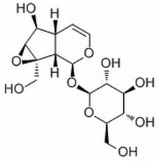 梓醇,化学对照品(20mg)