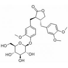 牛蒡子苷,化学对照品(20mg)