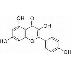 山奈酚,化学对照品(20mg)