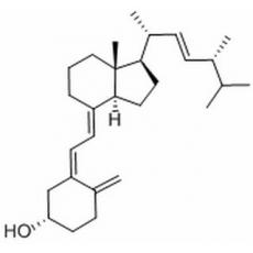 维生素D2,化学对照品(100mg)