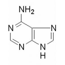 腺嘌呤,化学对照品(20mg)