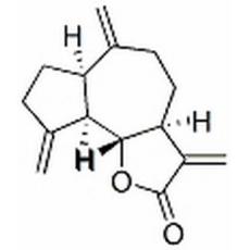 去氢木香内酯,化学对照品(20mg)