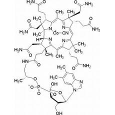 维生素B12,化学对照品(100mg)