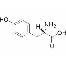 L-酪氨酸,化学对照品(100mg)