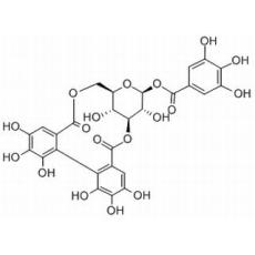 柯里拉京,化学对照品(20mg)