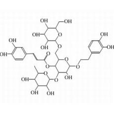 松果菊苷,化学对照品(20mg)