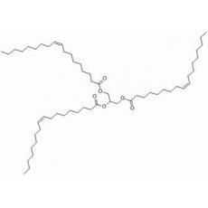 甘油三油酸酯,化学对照品(0.15ml)