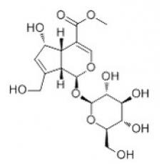 去乙酰车叶草酸甲酯,化学对照品(20mg)