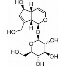 桃叶珊瑚苷,化学对照品(20mg)