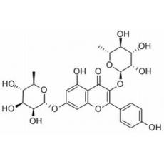 山奈苷,化学对照品(20mg)