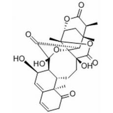 酸浆苦味素L,化学对照品(1ml)